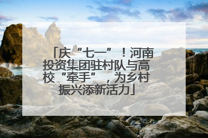 庆“七一”！河南投资集团驻村队与高校“牵手”，为乡村振兴添新活力